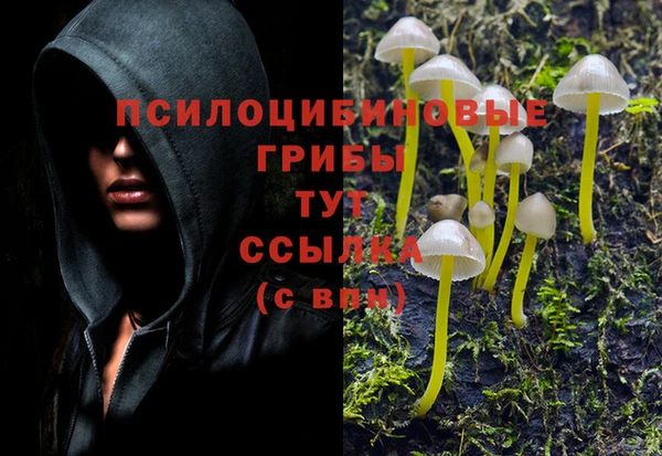 кокаин премиум Михайловка