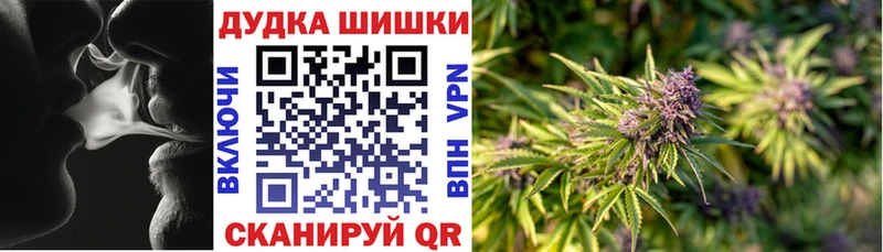 Марихуана сатива  Купить закладки  Можга 